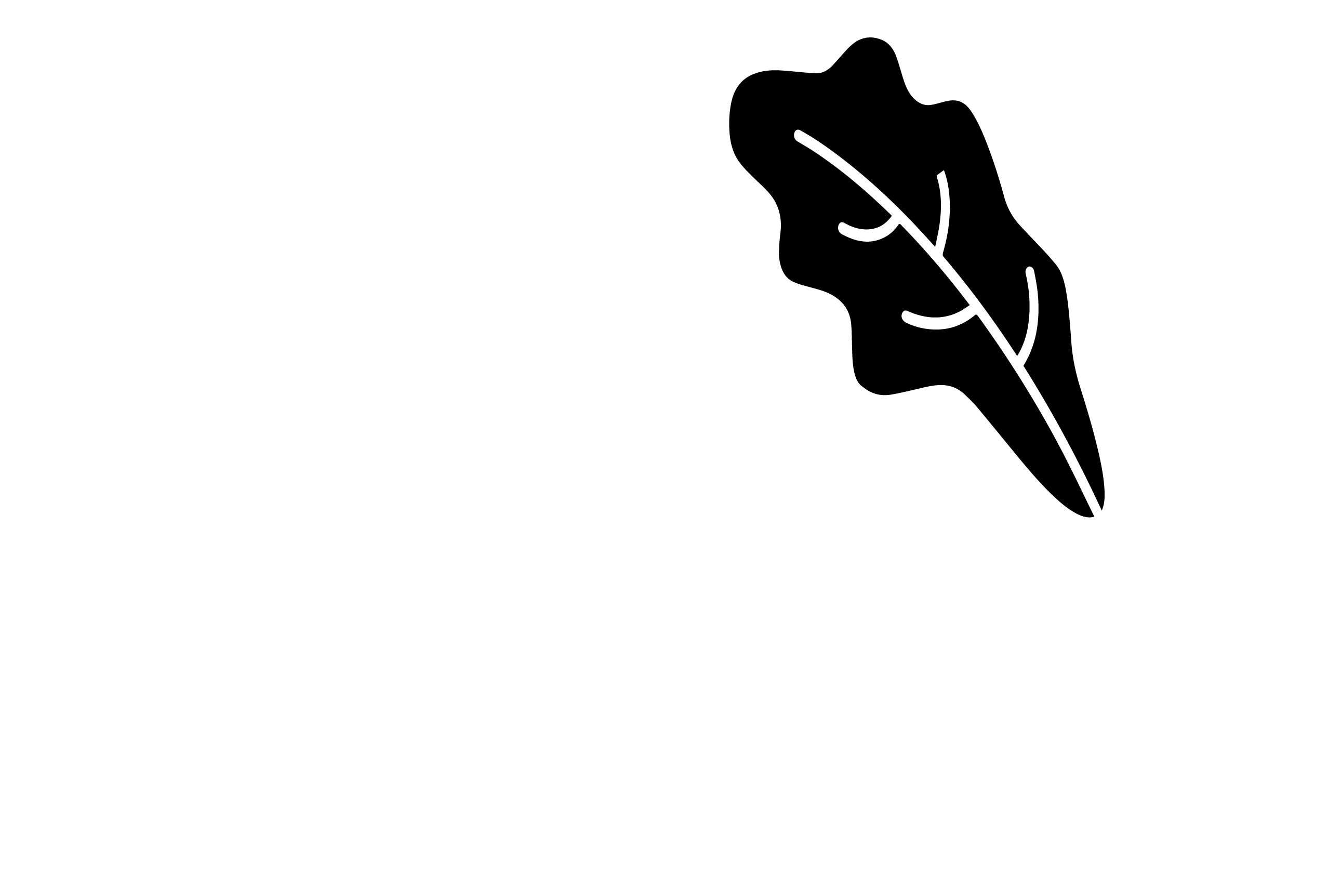 SNX - Now, you can have it all | logo